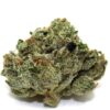 Lemon Death Bubba Flower