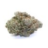 OG Monkey Flower
