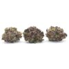 Agent Purple Flower