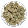 Violator Flower - Image 2