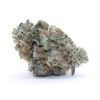 Grape Stomper Flower (Smalls) - Image 2