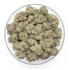Dutch Treat Flower - Image 2