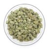Sensi Star Flower - Image 2
