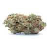 Sensi Star Flower