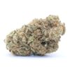 American Pie Flower