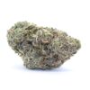 Electric Purps Flower