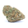 Snow Ripper Flower