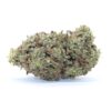 Tangarine Dream Flower