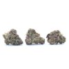 Girl Scout Cookies (Smalls) Flower