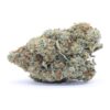 East Coast Alien Flower