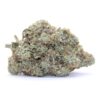 East Coast Alien Flower - Image 2