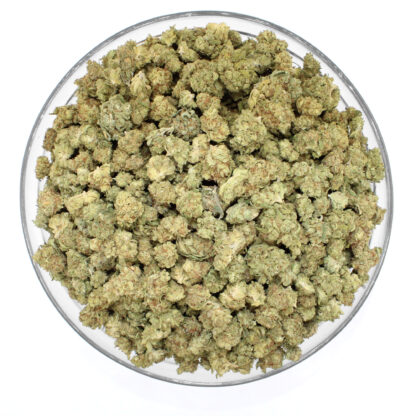 Lemon Haze Flower - Image 2