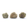 Miscellaneous Flower (Budget Smalls)