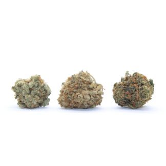 Miscellaneous Flower (Budget Smalls)