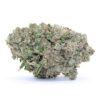 Tuna Rockstar Flower (Gas) - Image 2