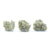 Tangelo Flower (smalls)