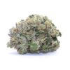 Cowichan Kush Flower