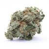 Rockbud Flower