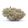 Cookies and Cream Flower