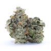 Rockbud Flower - Image 2