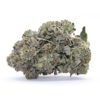Pink Picasso (Quad) Flower (Gas)