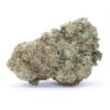Blue God Flower