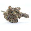 Blue God Flower - Image 2