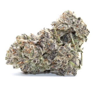 Flavor Burst Flower (Contains Seeds)