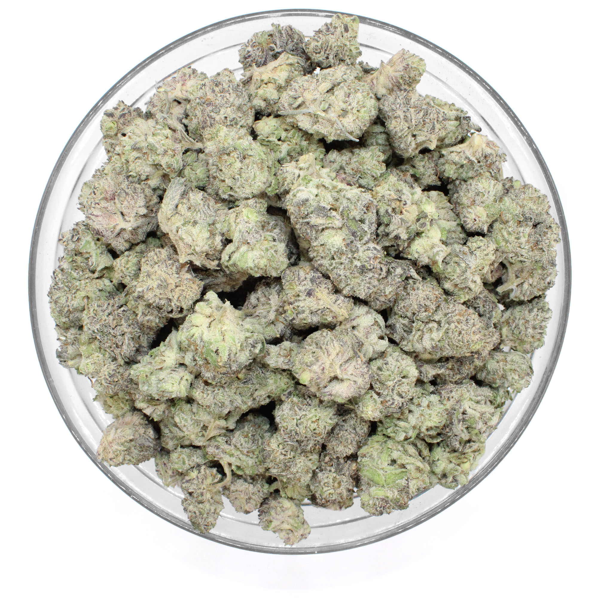 Flavor Burst Flower (Contains Seeds) 3 Flavor Burst Flower (Contains Seeds) - Image 3