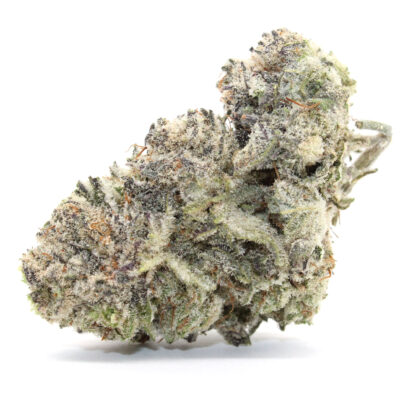 Flavor Burst Flower (Contains Seeds) - Image 2