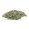 Purple Urkle Flower