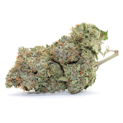 Purple Rockstar Nug