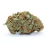 Meat Breath Flower