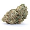 Gucci Pink Flower