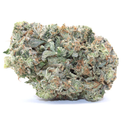 Coastal Pink Flower (Gas)
