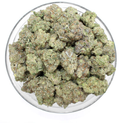 Coastal Pink Flower (Gas) - Image 3