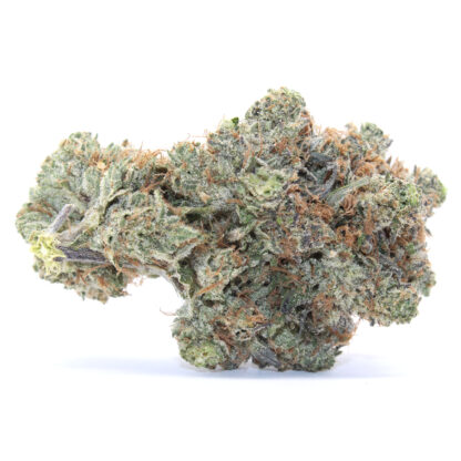Coastal Pink Flower (Gas) - Image 2