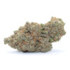 Citrus Haze Flower