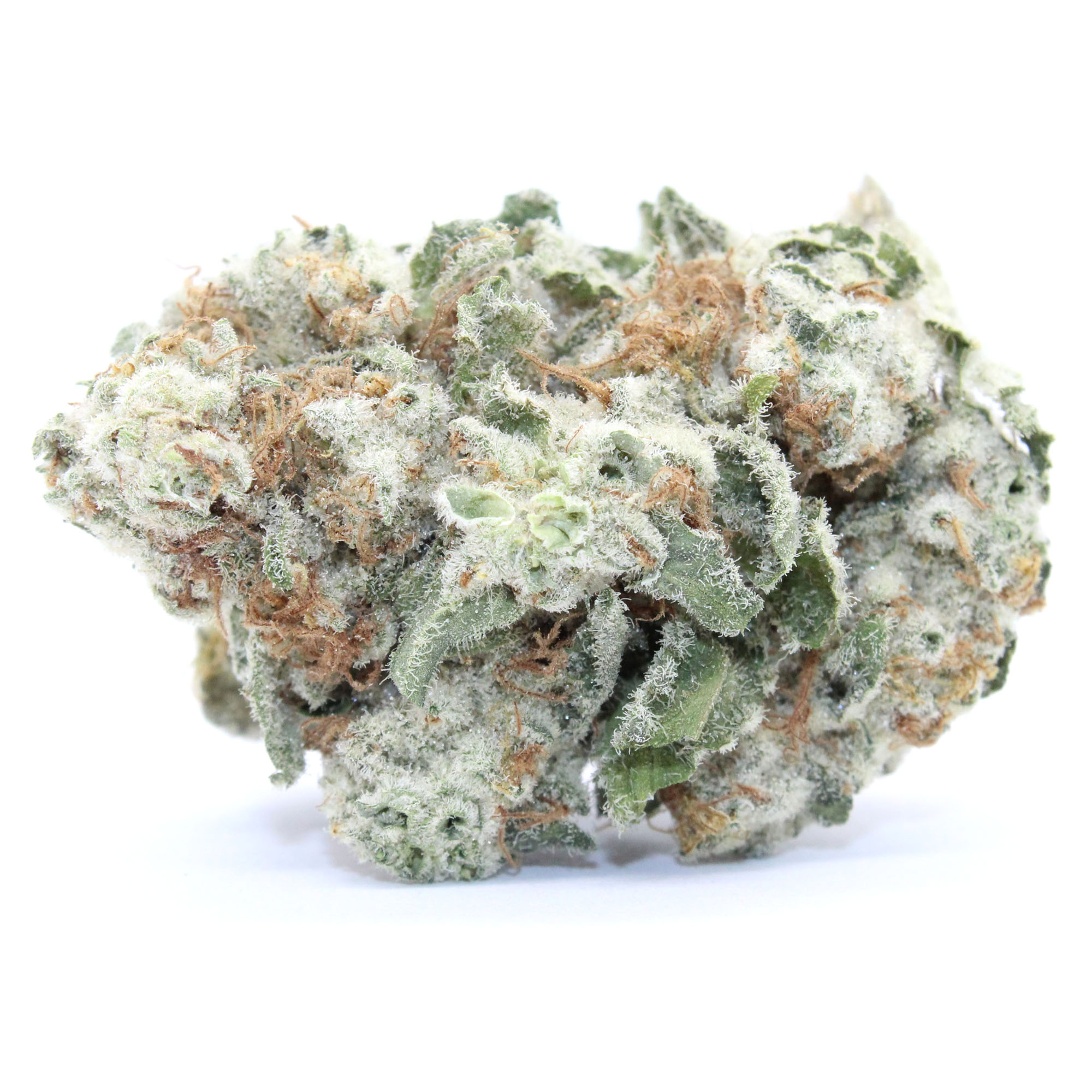 Gorilla Glue Flower 1 Gorilla Glue Flower