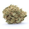 Shishkaberry Flower