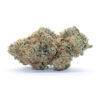 Wedding Cake Flower (Gas)