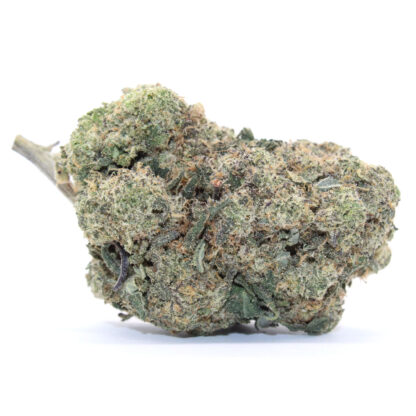 White Runtz Flower