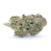 Grease Monkey Flower - Image 2