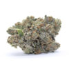 Grease Monkey Flower
