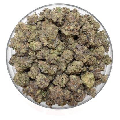 Island Pink Flower (Gas) - Image 3