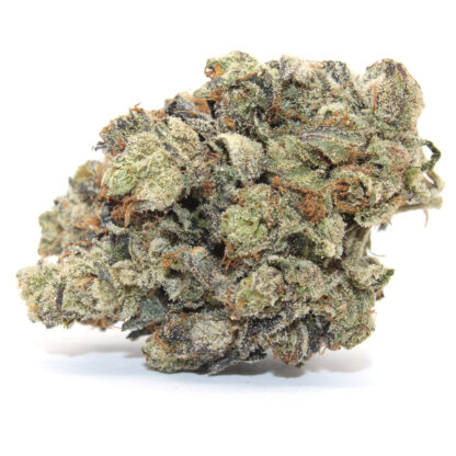 Island Pink Flower (Gas)