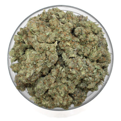 Hindu Kush (Gas) Flower - Image 3