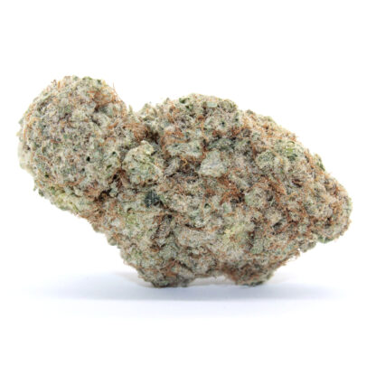 Lemon Cherry Gelato Flower