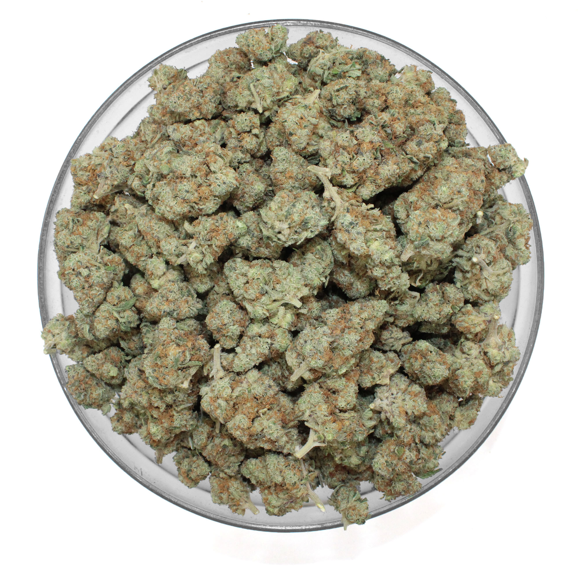 Hash Plant Flower (Contains Seeds) 3 Hash Plant Flower (Contains Seeds) - Image 3