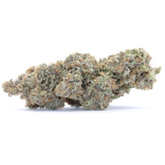 Hash Plant Flower (Contains Seeds)